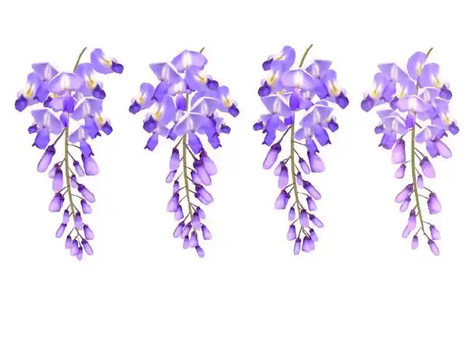 绘画参考##板绘##绘画素材