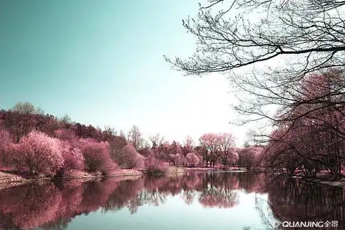 照片图片_图片大全