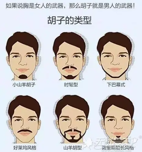各种胡须的形状