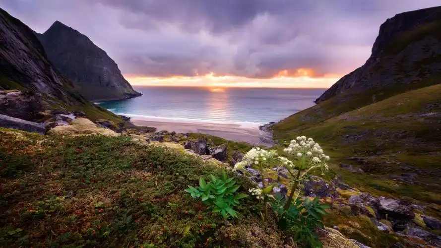 个人2k以上壁纸推荐20201024