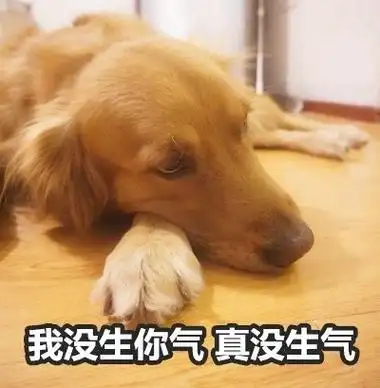 都出来欢迎我不然我就打人熊猫头群聊表情包群聊熊猫打人不然表情