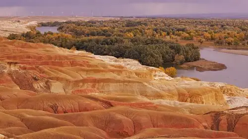 中国最美丽的北疆金秋:(2020)喀纳斯,风景如画.