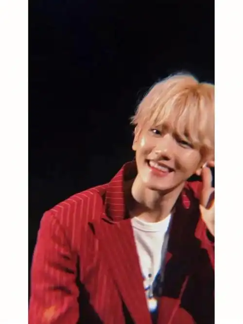 边伯贤丨演唱会生图好绝