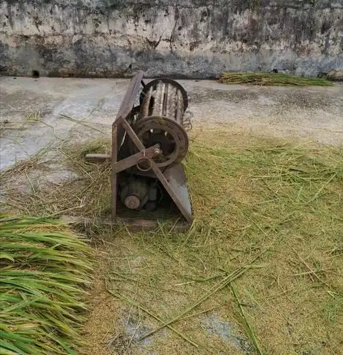 纯木结构脱粒机!稻谷大丰收.