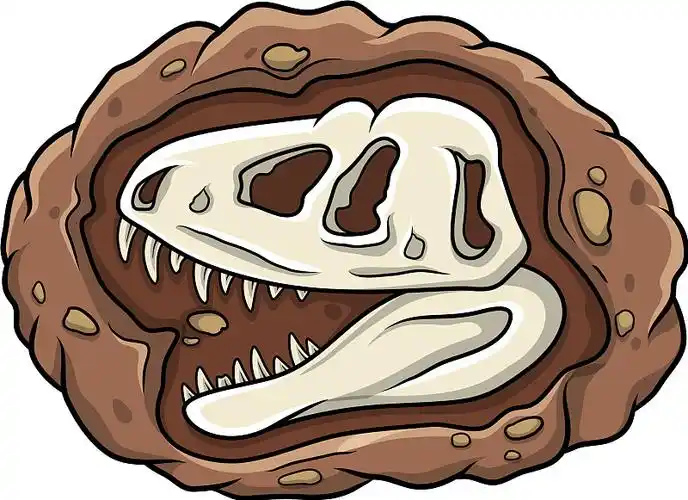 卡通头恐龙化石图片
