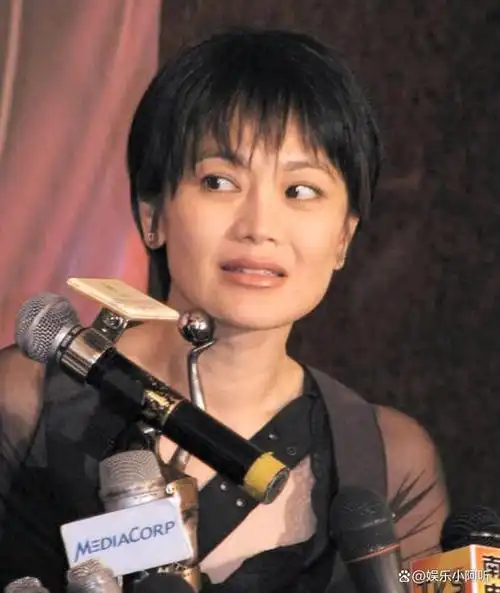 无儿无女,被徐克抛弃,别再替施南生惋惜了,她根本不需要