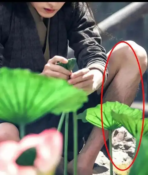 肖战一定想不到自己的腿毛会意外上镜