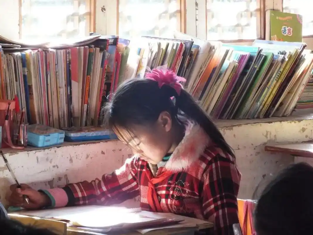 从支持女童上学到影响撤点并校,跨越大半个地球,看扎根农村三十年教育