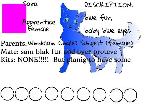 warriors cat bio sheet remix remix