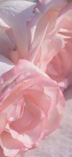 全屏壁纸库ins壁纸美图