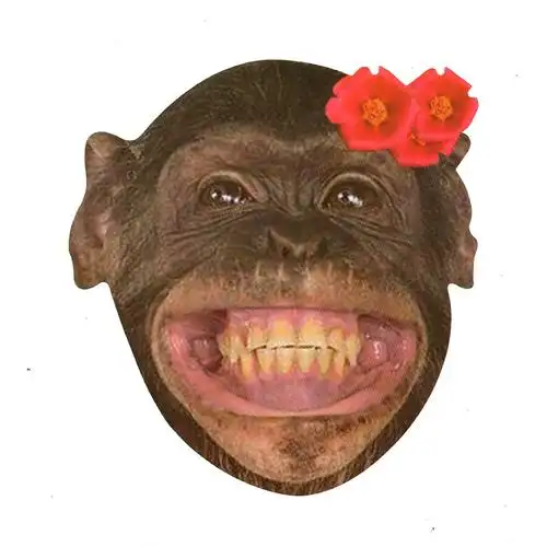 结婚接亲堵门游戏拦门道具整蛊恶搞新郎伴郎团套装用品搞笑面具