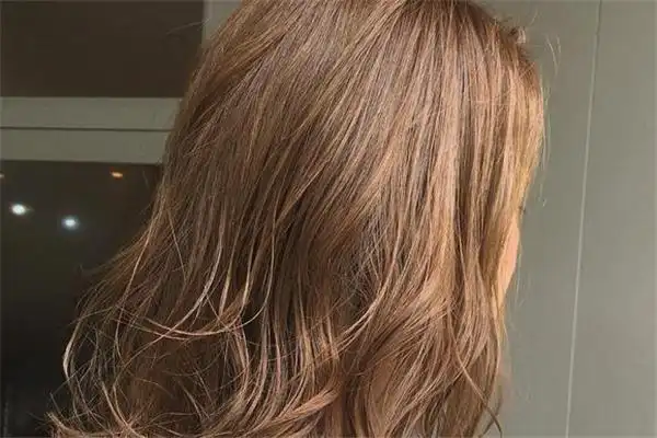 檀棕色属于什么色系 檀棕色需要漂吗