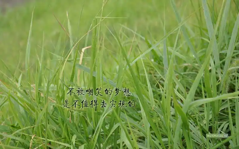 上传几张励志桌面壁纸挺好的