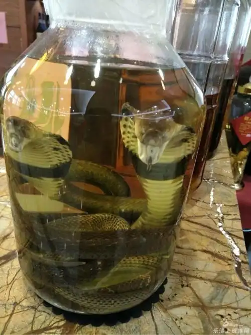 蛇酒的功效与作用教你具体的使用方法