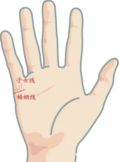 手相算命你的子女线