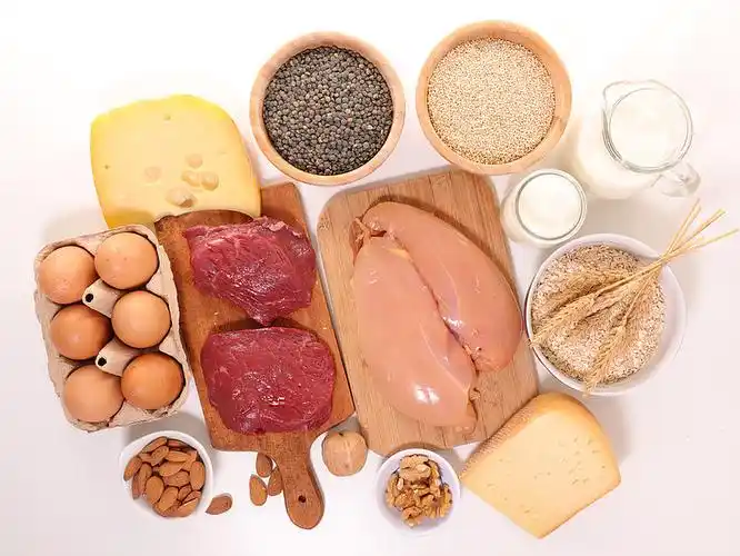 蛋白质图片_蛋白质高清图片_全景视觉