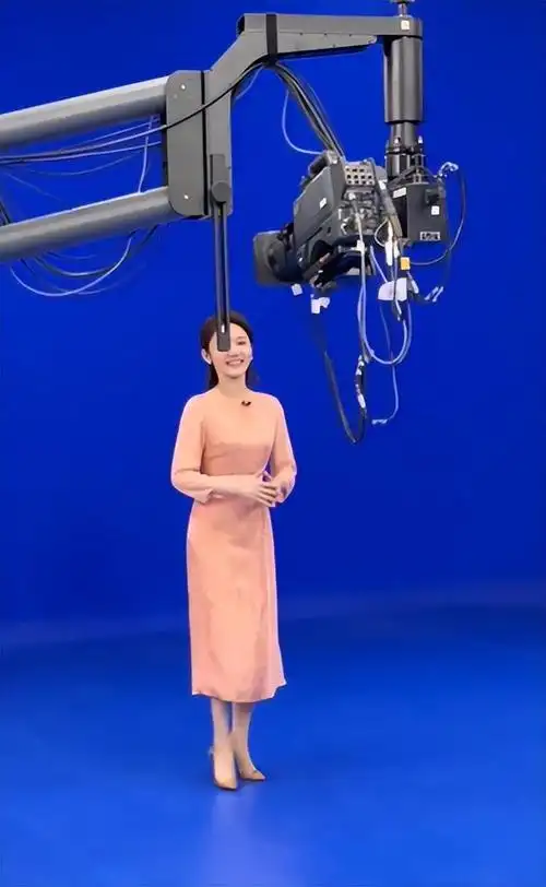 央视龙洋现身公园踏青穿裙子炫长腿小蛮腰坐石凳上看书好惬意