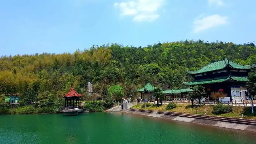 江苏省无锡市宜兴市湖父镇宜兴金陵竹海国际会议中心竹海风景区