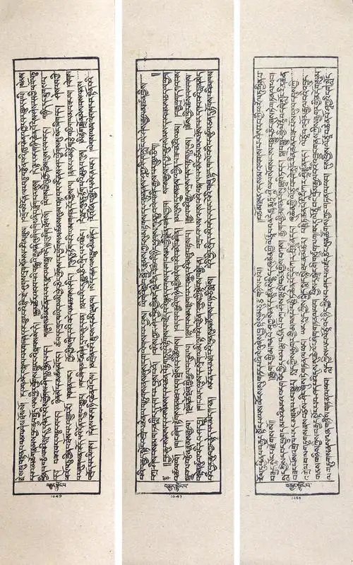 5×11cm   贝叶经多为佛教经典,还有一部分为古印度梵文文献,具有极高