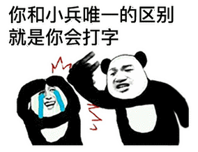 你和小兵唯一的区别就是你会打字 - 熊猫头教你打游戏不带脏字骂人
