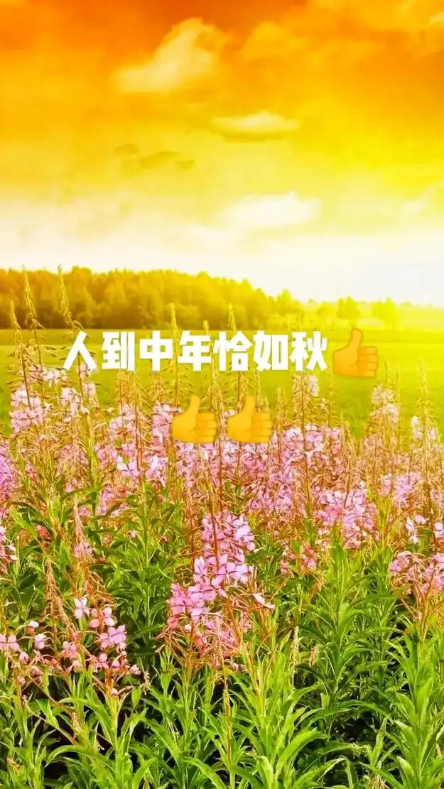 人生感悟 ,人到中年恰如秋,#分享生活温暖你我 #一花一木 - 抖音