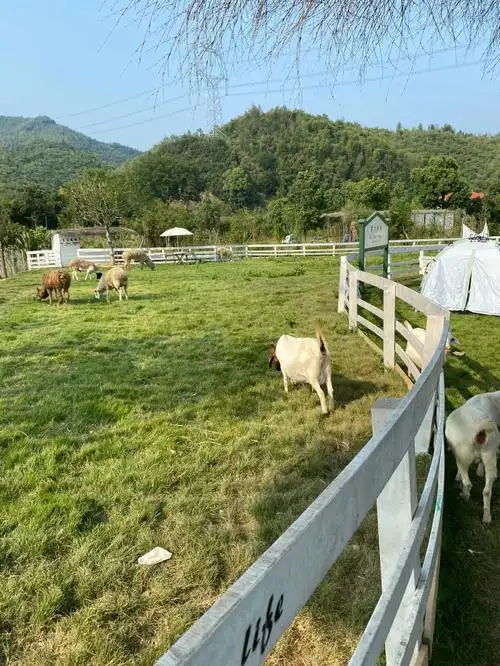 布布熊生态农场