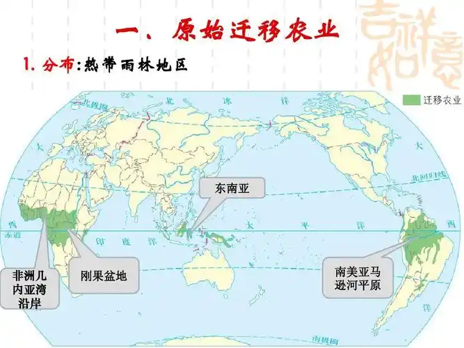 分布:热带雨林地区 东南亚 非洲几 内亚湾 沿岸 刚果盆地 南美亚马