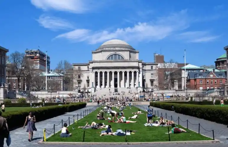 布兰迪斯大学 brandeis university