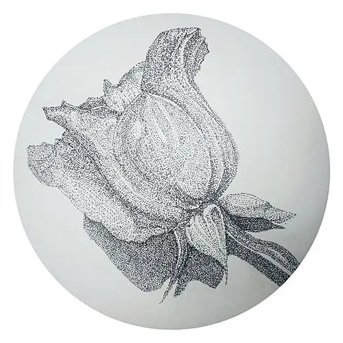 点绘玫瑰|纯艺术|钢笔画|chialy - 原创作品 - 站酷 (zcool)