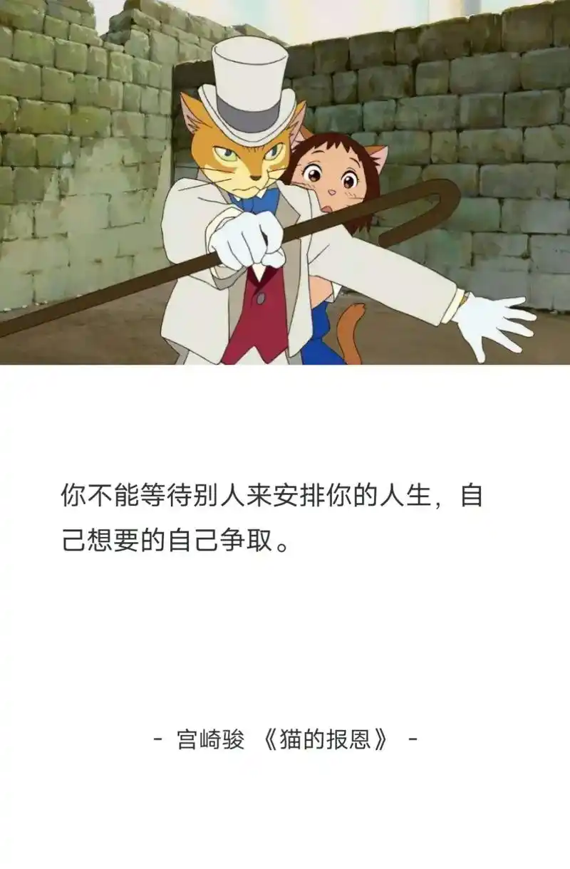 宫崎骏《猫的报恩》#动漫 #治愈  - 抖音