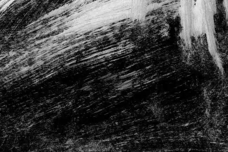 手绘黑白樱桃设计资源