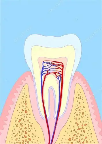2岁孩子磨牙是什么原因