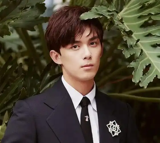 吴磊的面相颇为独特,额头宽阔饱满,眉毛粗犷而眉骨高耸,鼻子挺拔如峰