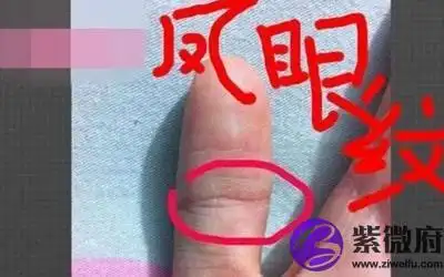 解析凤眼纹和佛眼纹的含义