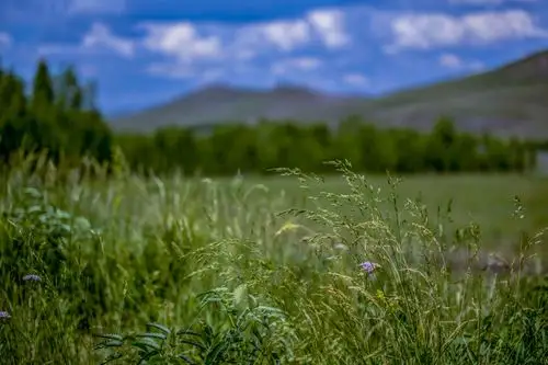 摄影 呼伦贝尔的云水柔情 写美篇呼伦贝尔草场主要有六大类:山地草甸