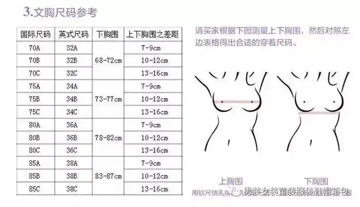 女孩罩杯尺码表对照表(内衣尺寸选购对照表)_明日之子