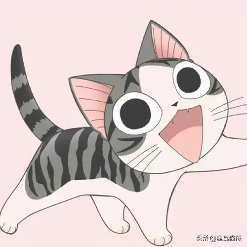 有一只名叫小起的猫,它和美短加白非常相似,形象可爱至极,加上剧情