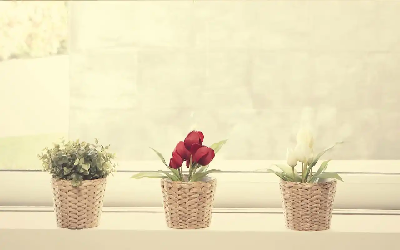 唯美花瓶静物精美创意高清电脑桌面壁纸图片下载