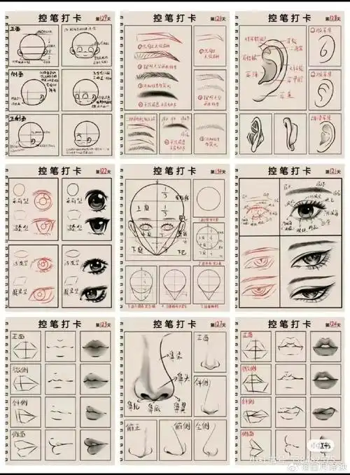 绝区零美术风格#零基础学画画人物五官画法教程合集新手小白这期是