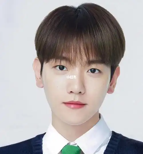 边伯贤证件照合集部分