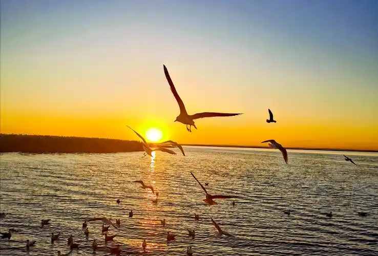 走进额济纳之二 最美的日出