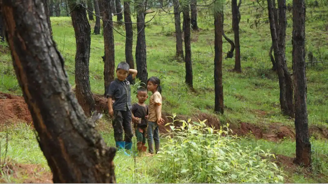 凉山里皮肤黝黑的彝家人,大眼睛守望着一座山