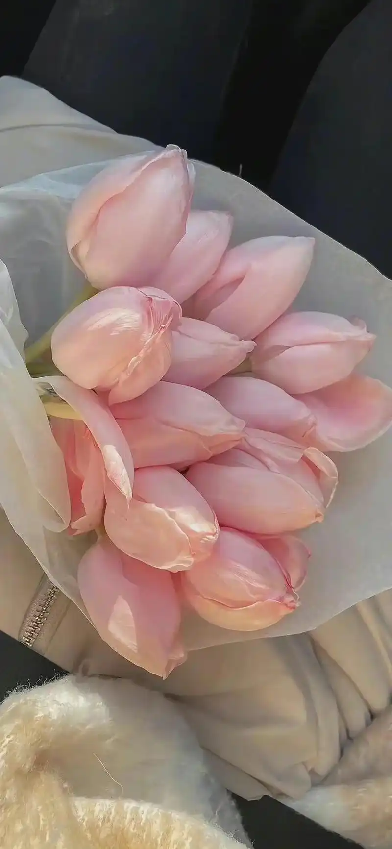 要让你一直有喜欢的壁纸换 #手机壁纸 #全屏高清壁纸 #抖音 - 抖音