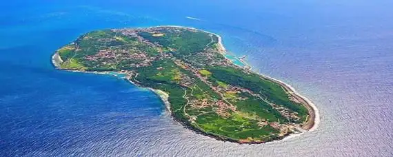 中国最大的岛屿是哪个岛
