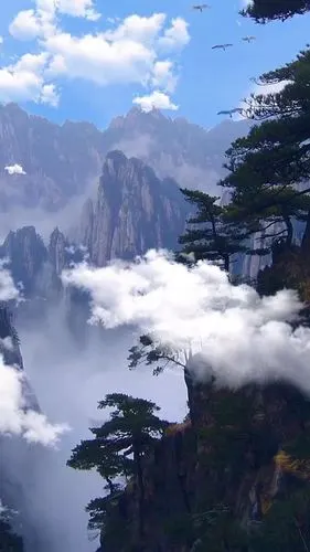 风景动态壁纸_高清竖屏视频下载-火萤壁纸