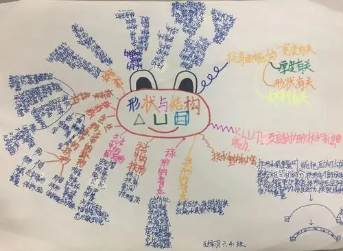 形状与结构——六四班思维导图