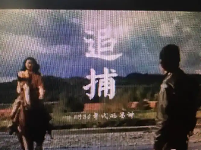 【回味经典】日本电影《追捕》主题曲