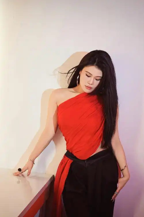 袁娅维在浪姐打了四份工