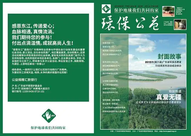 杂志封面封底设计