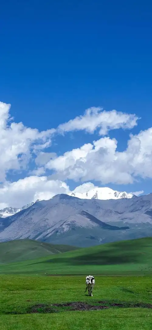 新的手机锁屏壁纸来啦